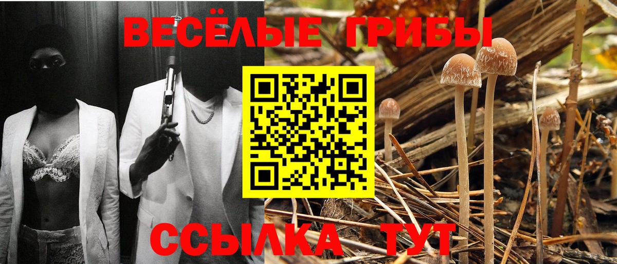 Галлюциногенные грибы прущие грибы Электросталь