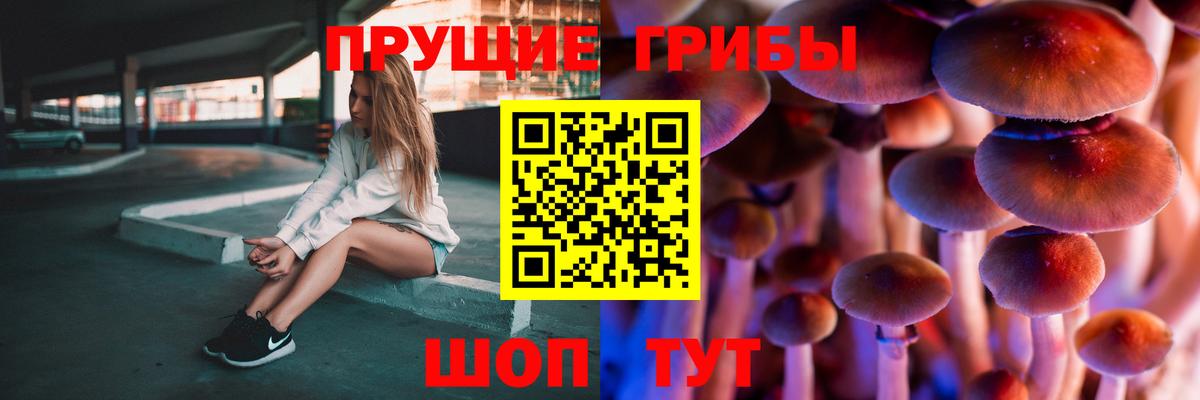 Электросталь  Псилоцибиновые грибы Psilocybe  Вход с VPN 